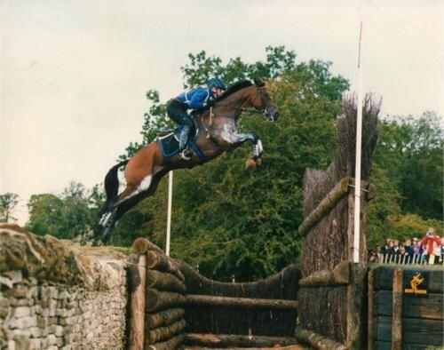 Eventing Horses